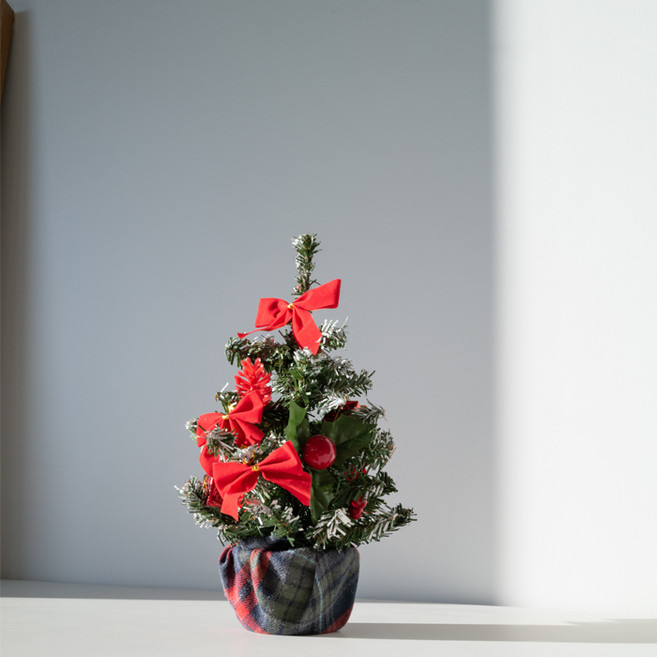 블루밍앤미 포인세티아 미니 트리, 혼합색상