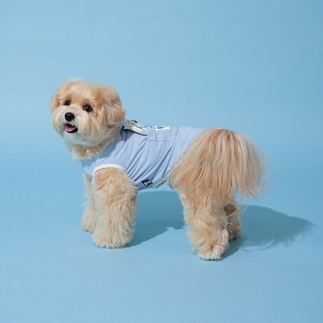 PETBONE 寵物3度C幼犬涼感T恤, 天藍色, 1個