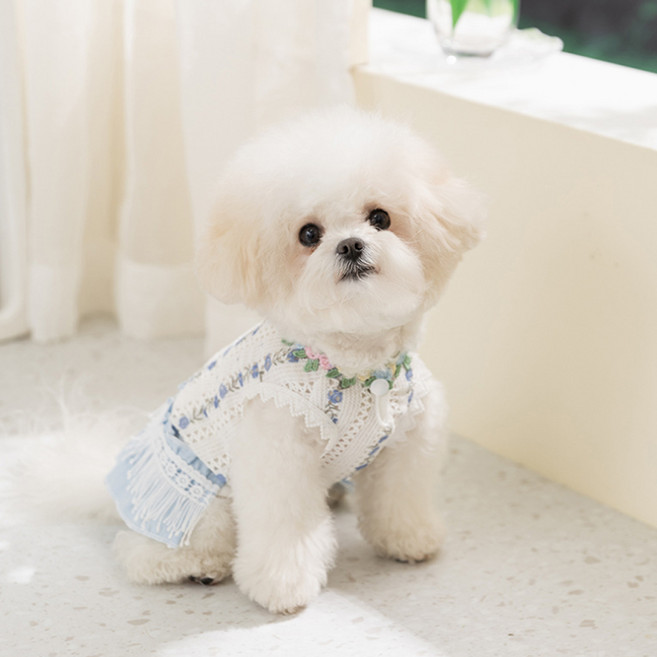 웨이비데이즈 강아지 여름용 태슬 드레스 W263-100BU, 블루(W263-100BUL), 1개