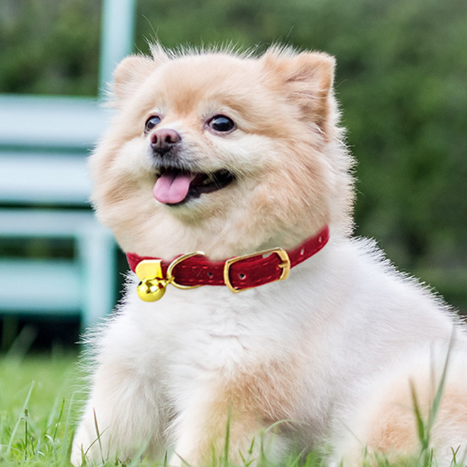 딩동펫 반려동물 솔리드 방울 목걸이 목줄, 레드, 1개
