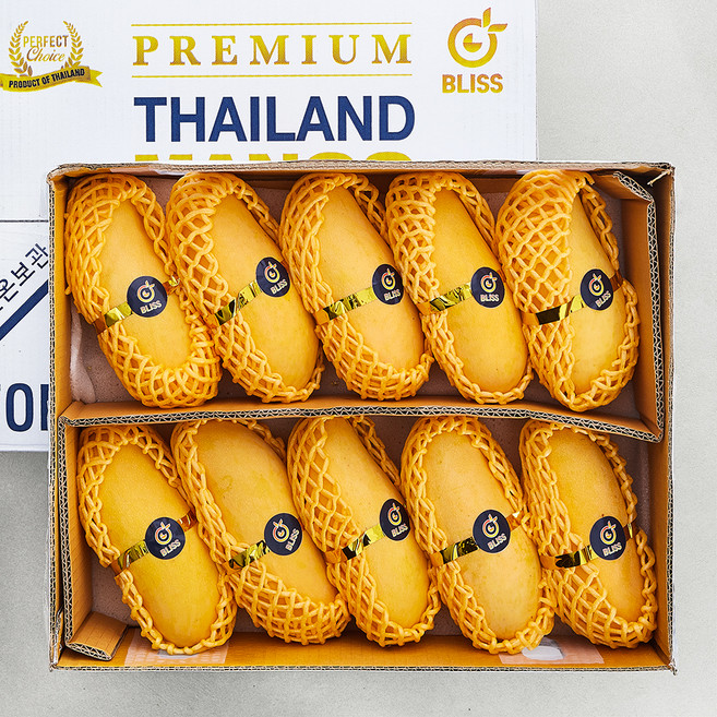 이웃마을 태국산 마하차녹 망고, 3.8kg(8~10입), 1개