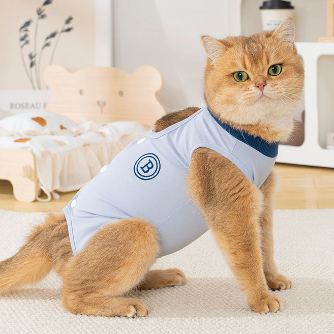 파스텔펫 반려동물 컬러 소프트 중성화복, 블루, 1개