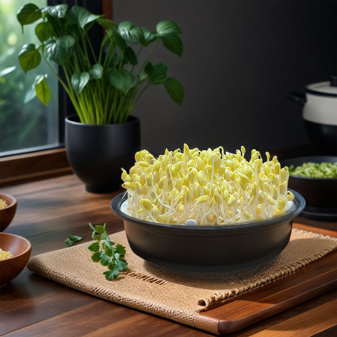 생활백과 콩나물 재배기, 1개