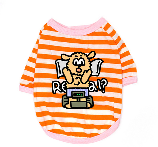 블랭크도그 강아지 체중감량 티셔츠, ORENGE, 1개
