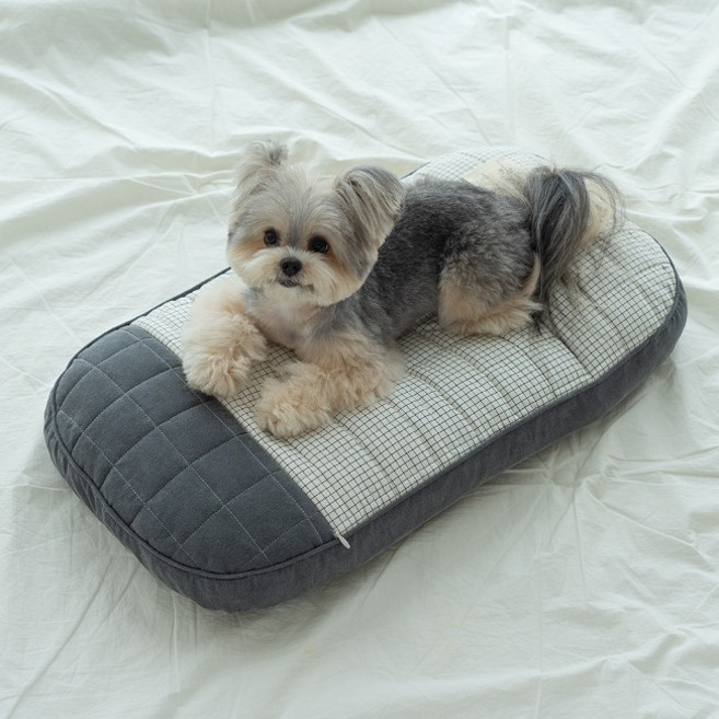 리토가토 강아지 허니버니 펫모차 솜 쿠션 L, 차콜, 1개