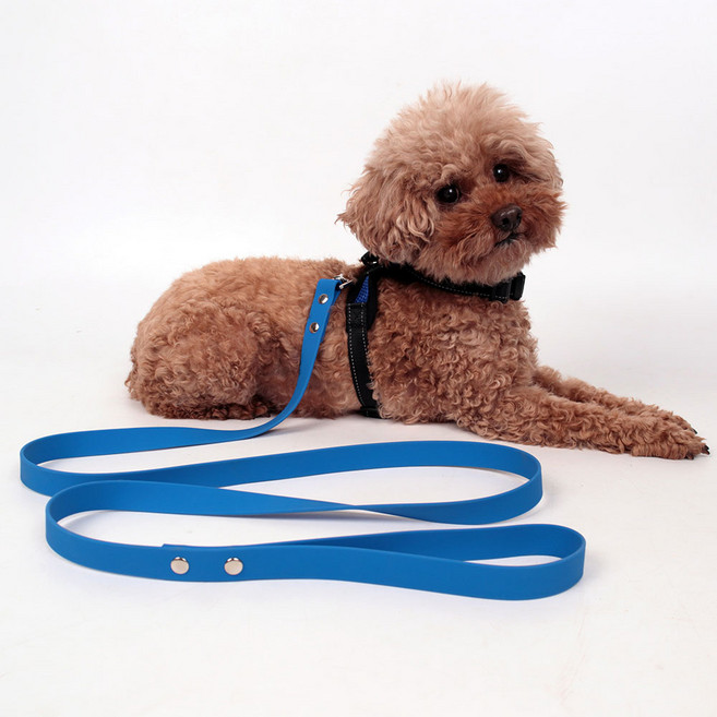 딩동펫 강아지 일체형 방수 리드줄, 블루, 1개