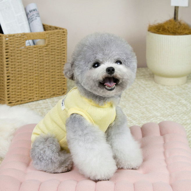 파스텔펫 반려동물 패턴 파스텔 올인원, 옐로우, 1개