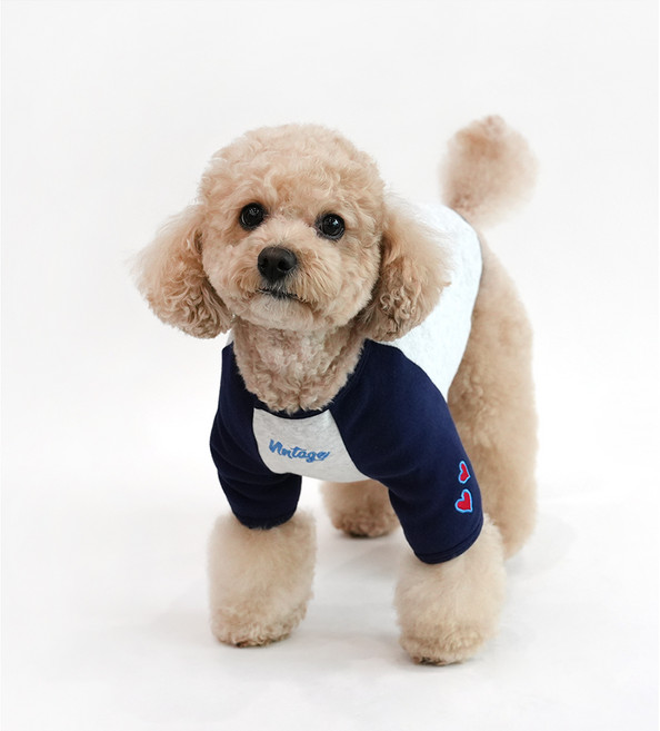 피너츠 강아지 패리스독 빈티지 래글런 티셔츠, 네이비, 1개