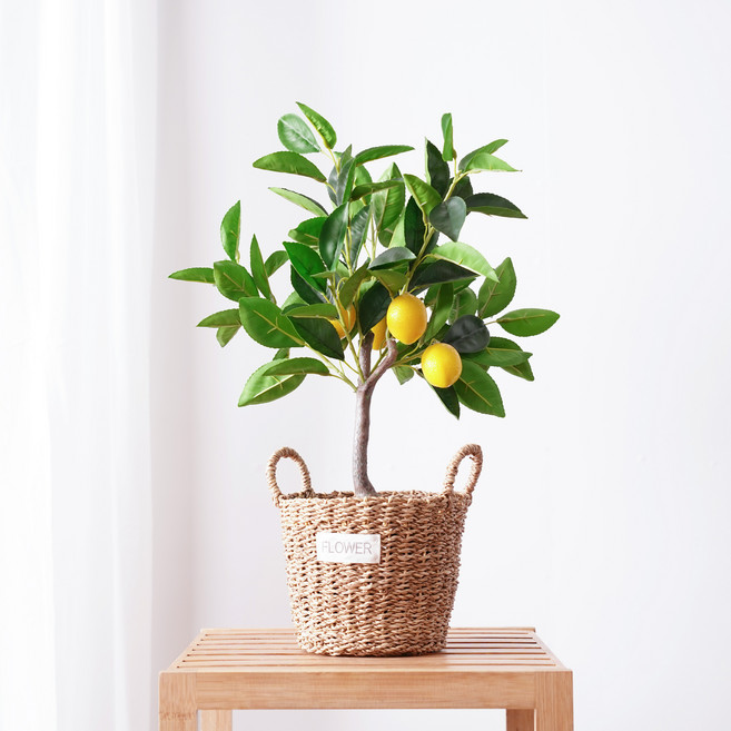 ALLIE FLOWER 檸檬樹人造花盆栽, 混合色, 1個