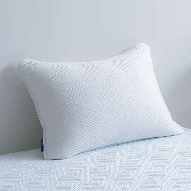 프로텍트어베드 듀라웰 알래스카 냉감 베개커버