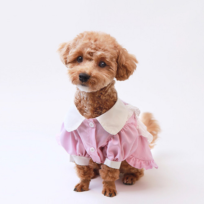 쁘띠도그 반려동물 디테 원피스 DSO054, 핑크, 1개