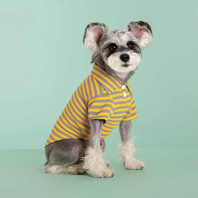 파스텔펫 반려동물 컬러 스트라이프 카라 티셔츠, 옐로우, 1개