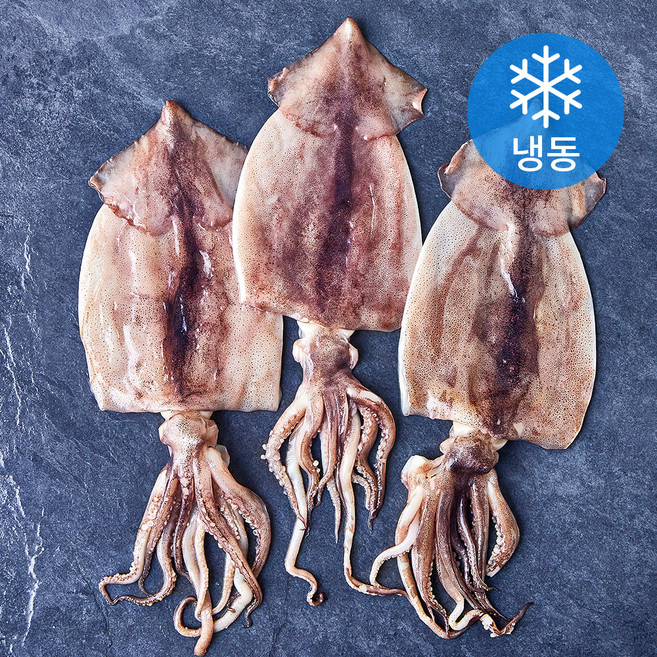 고등어청년 할복오징어 (냉동), 1개, 500g