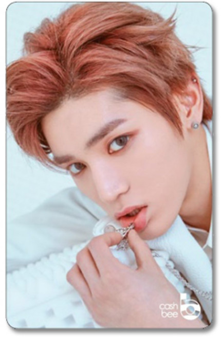 캐시비 SM NCT 교통카드 태용, 혼합색상, 1개