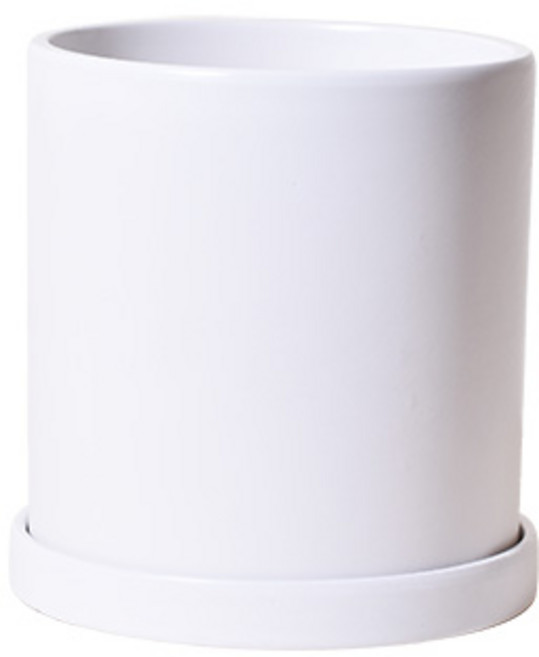 반무광 도자기 화분 원형, 화이트, 1개