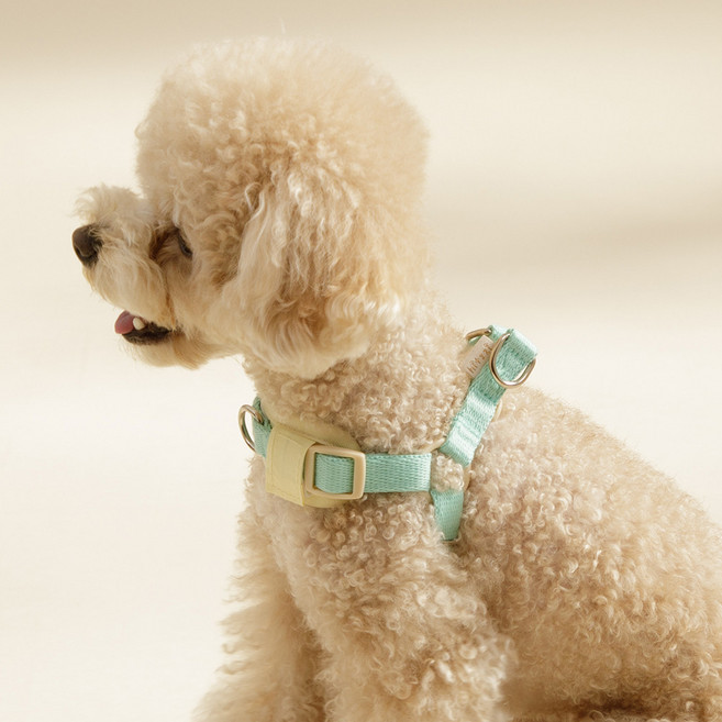 힛찌 강아지 초경량 이지워크 Y형 하네스, 민트그린