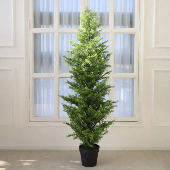 모리앤 에메랄드 조화나무 150cm, 그린, 150cm, 1개