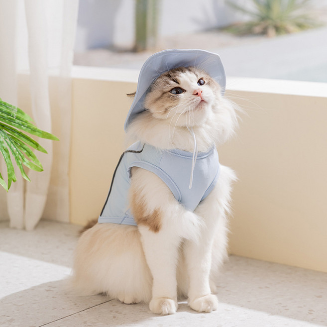 아티펫 반려동물 쿨링 통기성 모자 포함 조끼, 블루, 1개