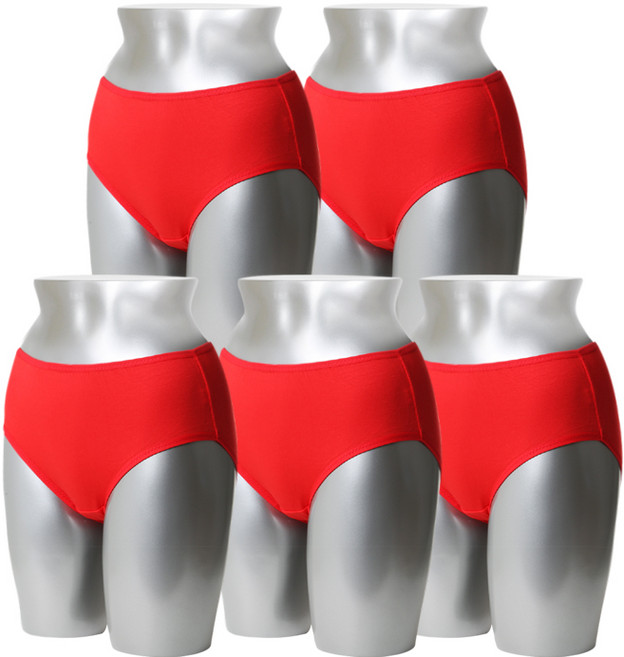 캐리루시 라이오셀 기본 팬티 5p