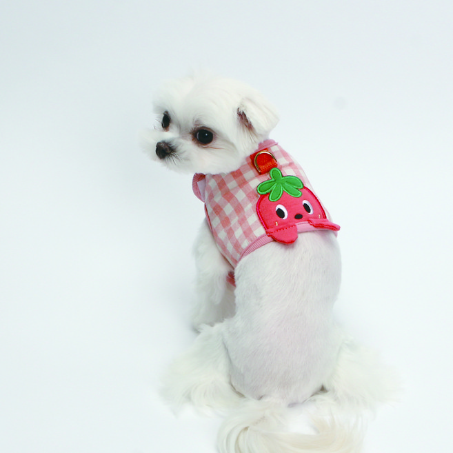 이츠독 강아지 잼잼 까꿍 하네스, 딸기