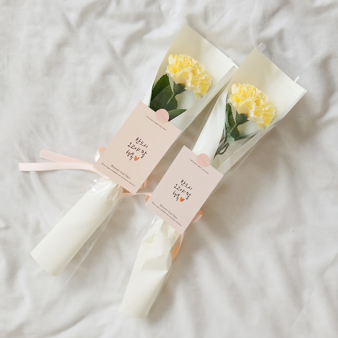 아스파시아 메시지 2p + 조화 플르 카네이션 한송이 비누 꽃다발 2p 세트 반드시 오고야 말 행복, 옐로우, 2개