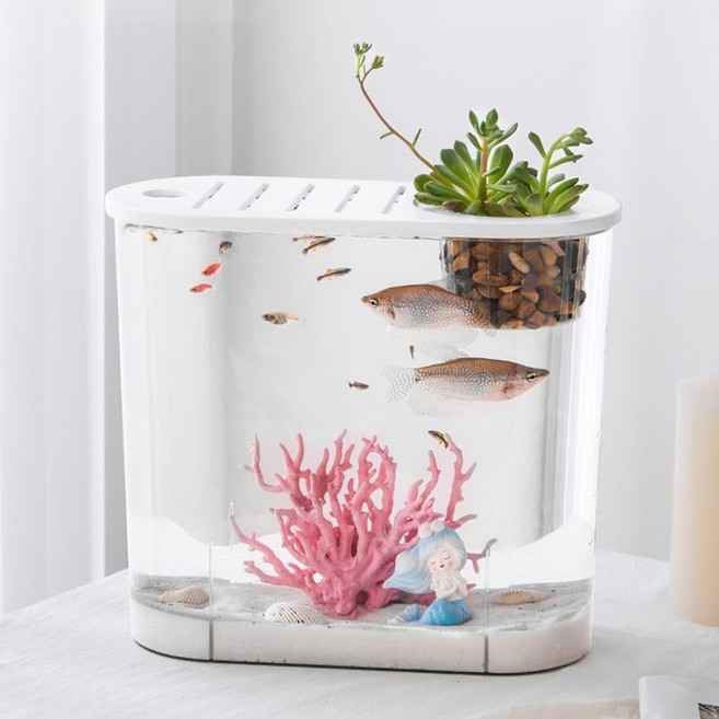 21세기트랜드 모비딕 깨지지않는 라운드형 구피 베타 탁상 안전수족관 기본형, 투명 + 화이트, 1개