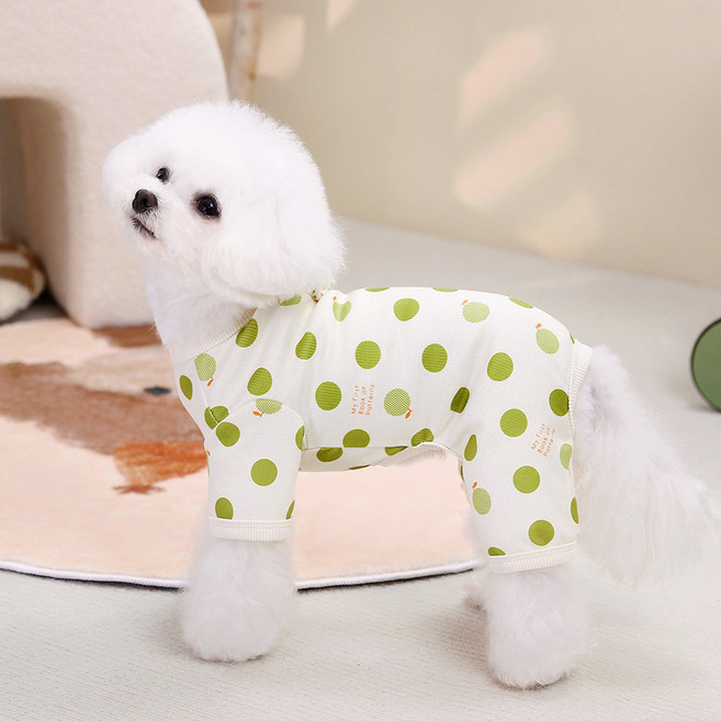 딩동펫 반려동물 올인원 도트무늬 과일 티셔츠, 그린, 1개