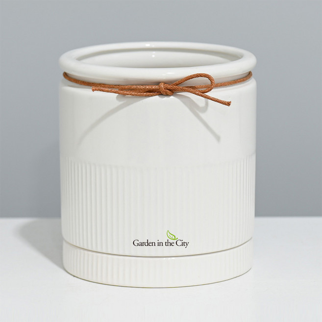 도시정원 모던 파스텔UN 스트라이프 화분 + 받침 세트, 화이트, 1개