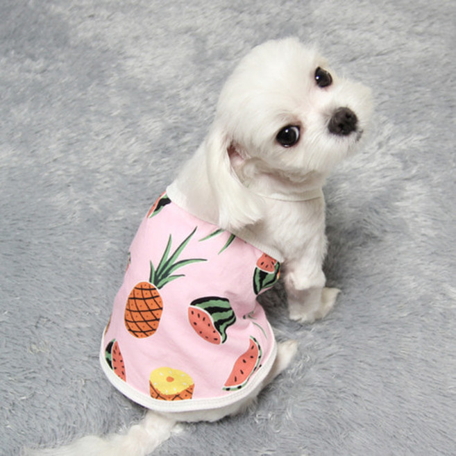 도기코디 강아지 썸머후르츠 끈나시, 핑크, 1개