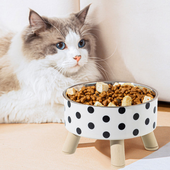 딩동펫 반려동물 땡땡이 체크 대용량 스텐 식기, 땡땡이화이트, 1개