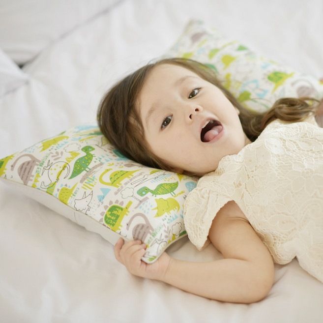 아띠블랑 인견 유아베개 커버2p+속통1p, 디노랜드(커버)