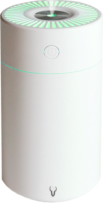 크로니클 프리미엄 차량 휴대용 엠비언트 무드등 미니 가습기, L10, 화이트(CH-1)