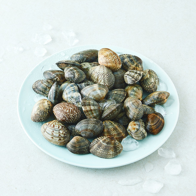 바지락 (냉장), 1개, 500g