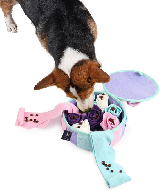 딩동펫 반려동물 선물박스 노즈워크 장난감, 혼합색상, 1개