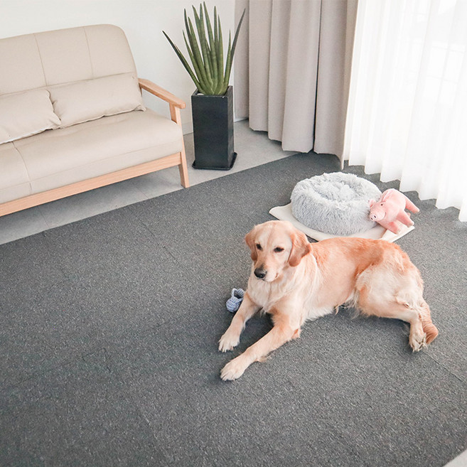 딩동펫 반려동물 미끄럼방지 블럭 카페트 28p, 차콜, 1
