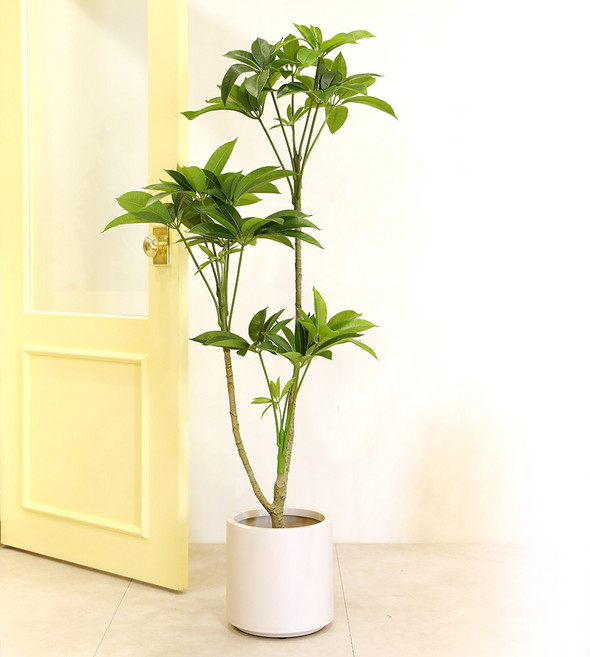 조아트 인조 나무 파키라 + 화분 세트 140cm, 혼합색상, 1개