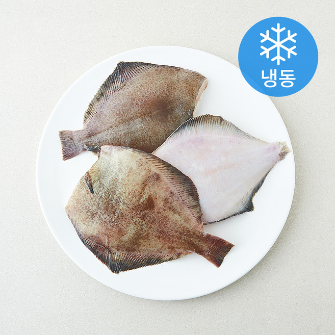 the 푸짐한 봄 도다리 (냉동), 1개, 330g