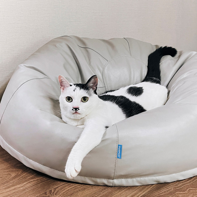 폴리몰리 강아지 방수 펫 빈백 904SU 대형, 소프트 그레이, 1개