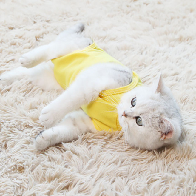 반려동물 중성화 수술복, 노랑, 1개