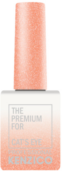 켄지코 캣츠아이 젤네일, CE201, 10g, 1개