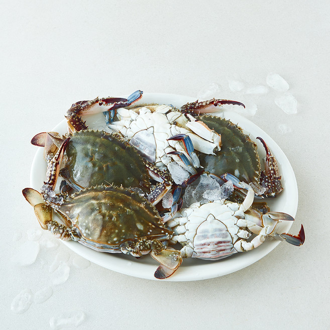 산지직송 일품 서해안 암꽃게 (냉장), 1개, 1.2kg(5~6미)