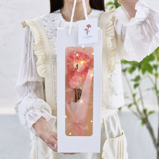 라알레그리아 조화 2송이 LED 카네이션 꽃다발 세트 + 쇼핑백, 1개, 핑크