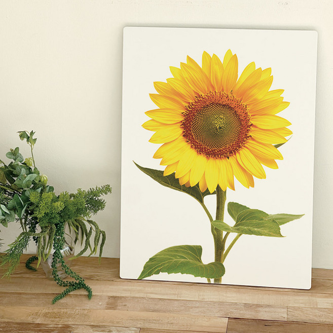 오홀리브 손잡이 액자테이블, 11 해바라기