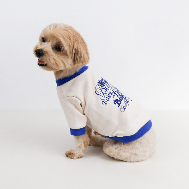 Grooming Dog 狗狗休閒情侶裝大學T, 藍色, 1個