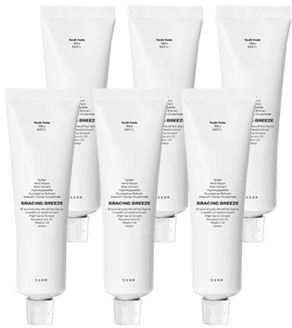 생활도감 치약 민트향, 100g, 6개