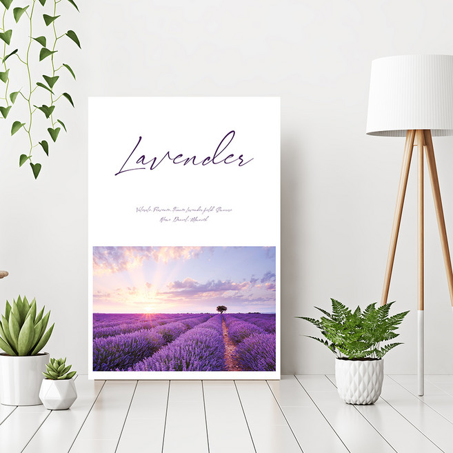 마니앤솔 라벤더 액자테이블 특대, 혼합색상