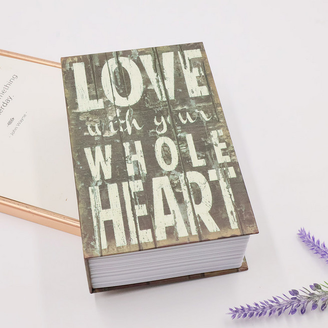 nestree 락시 개인형 미니 책 금고 대, 러브