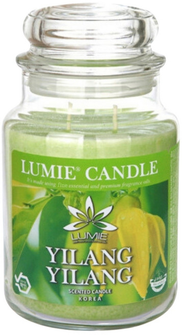 르미에 캔들, 570g, 1개, 일랑일랑