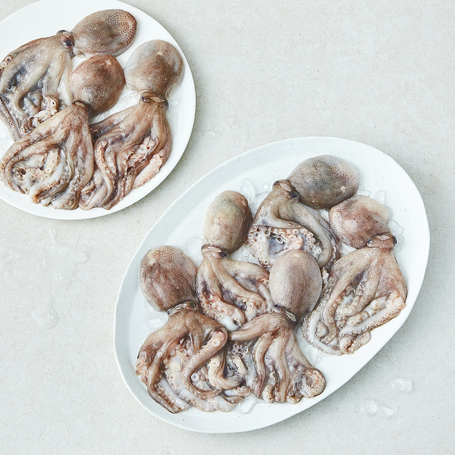 산지직송 일품 국산 쭈꾸미 (냉장), 1개, 1kg