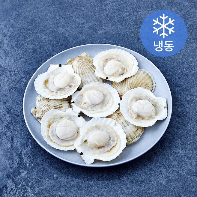 The더착한 반가리비 (냉동), 1개, 720g(16미)